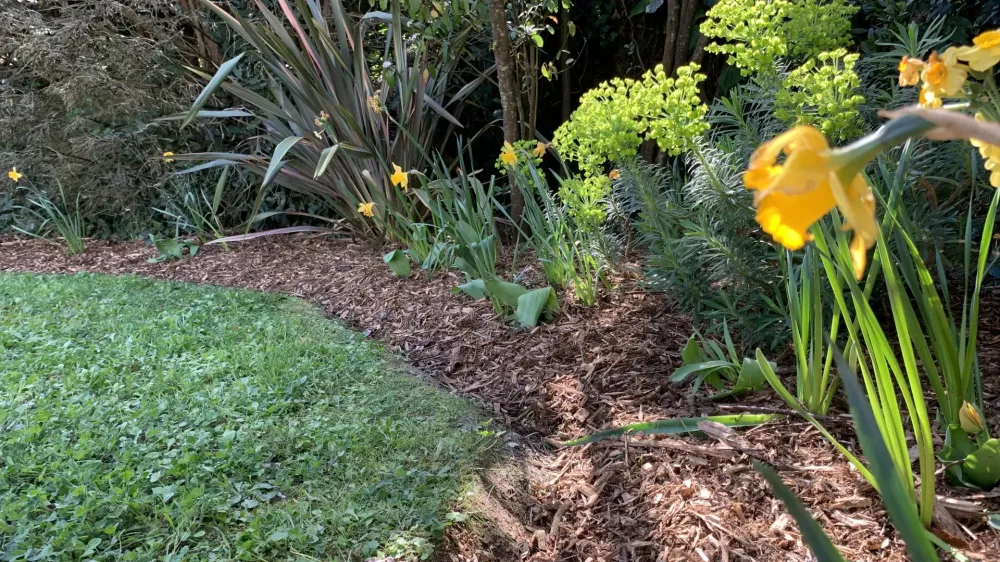 Création de jardin privé