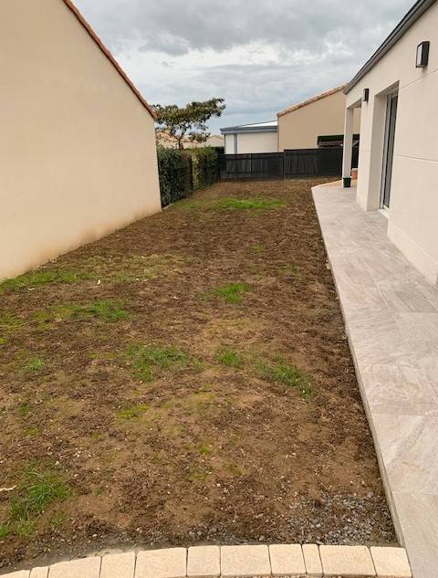 jardin Engazonnement